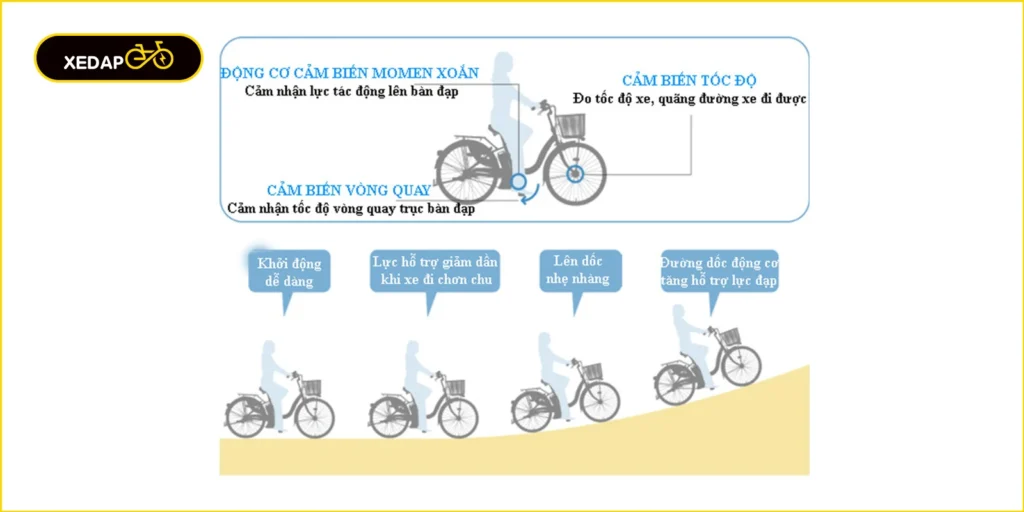 Khái niệm về trợ lực xe đạp và ứng dụng thực tế