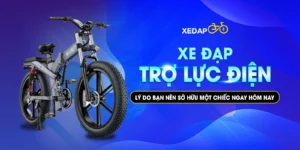 xe đạp trợ lực